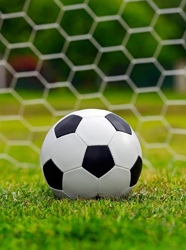 专业团队工作场景